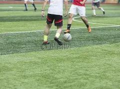 塔圖姆稱贊,猛龍優異成,強調勝利至,平博指数比分,赛事指数数据,足球指数比分,体育赛事指数,比分数据